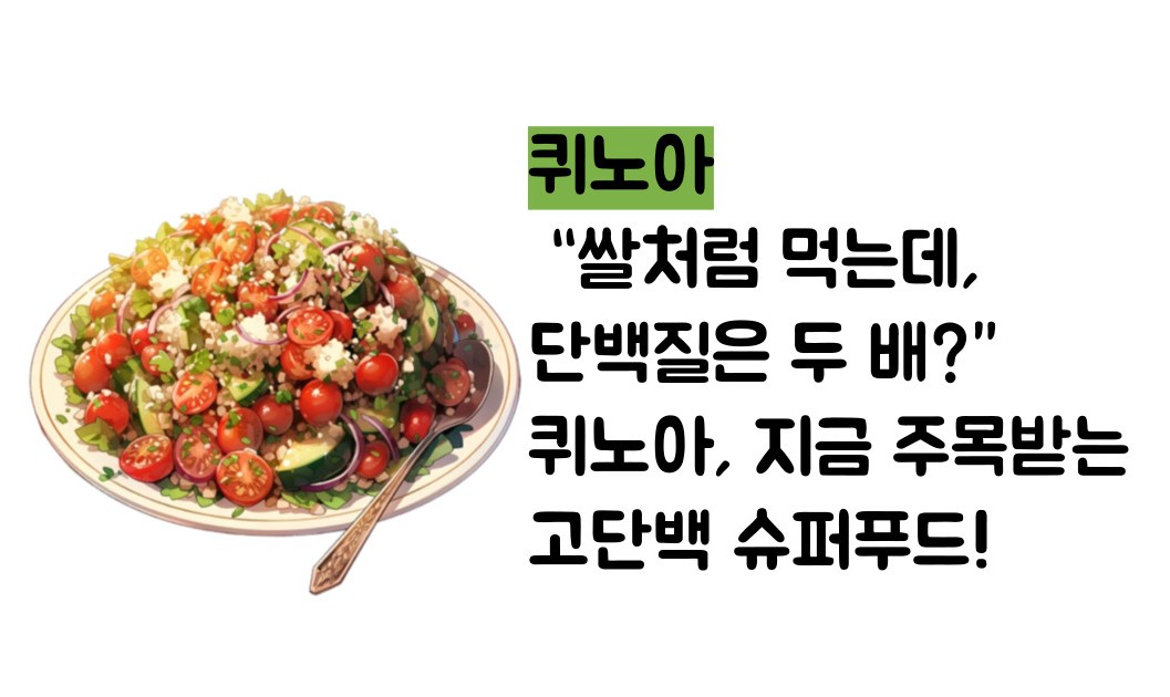 단백질 많은 음식