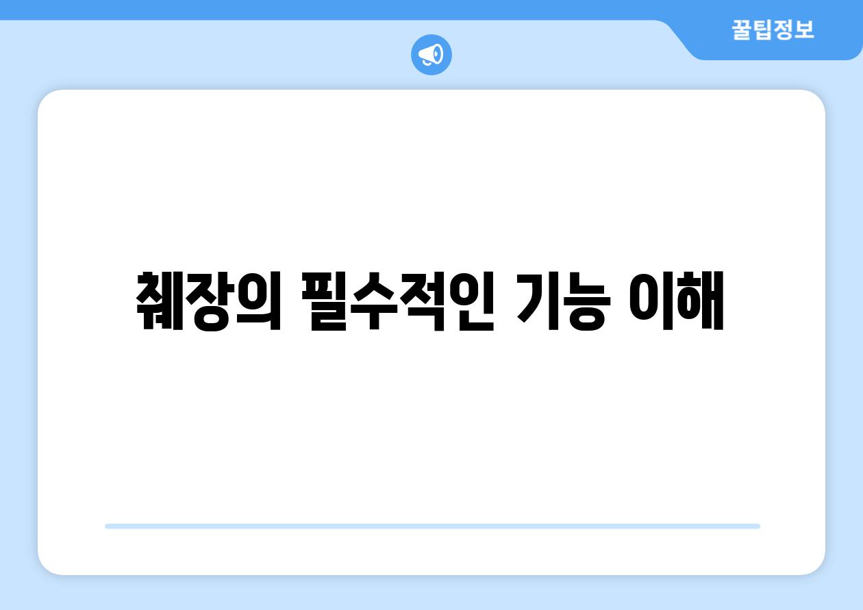 췌장의 필수적인 기능 이해
