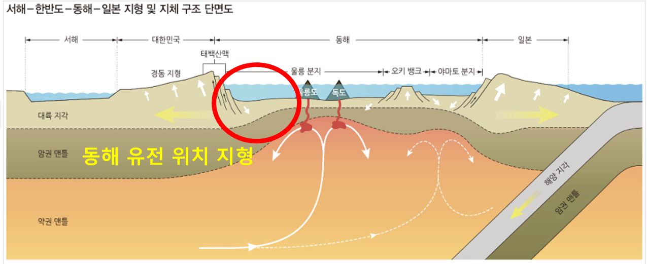 서해-한반도-동해-일본 지형 및 지체 구조 단면도