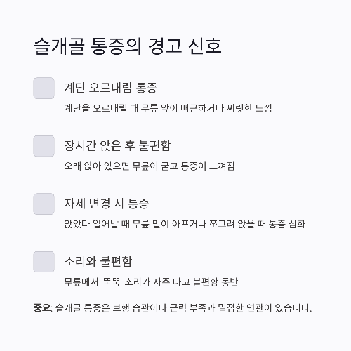 무릎 앞 통증의 원인과 관리법, 슬개골 통증에 좋은 관절 영양제 추천