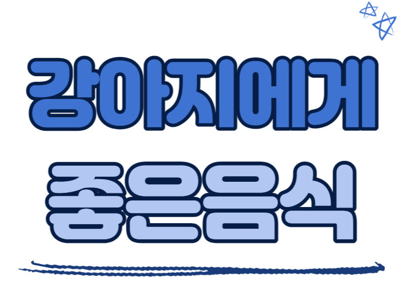 강아지에게 좋은 음식