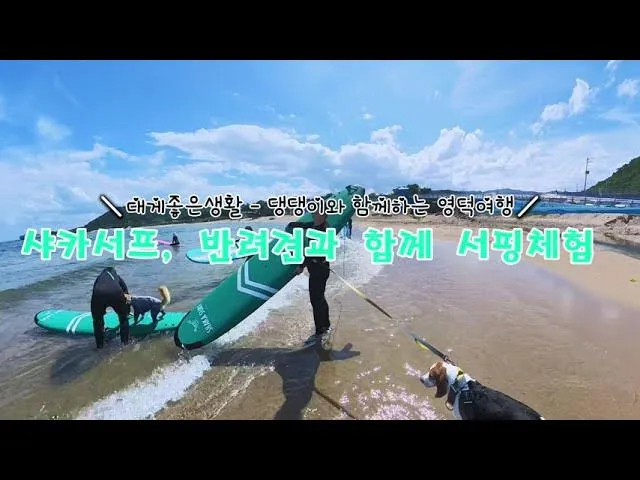 영천 가볼만한곳 베스트10 기억에 남을 멋진 명소 추천_3