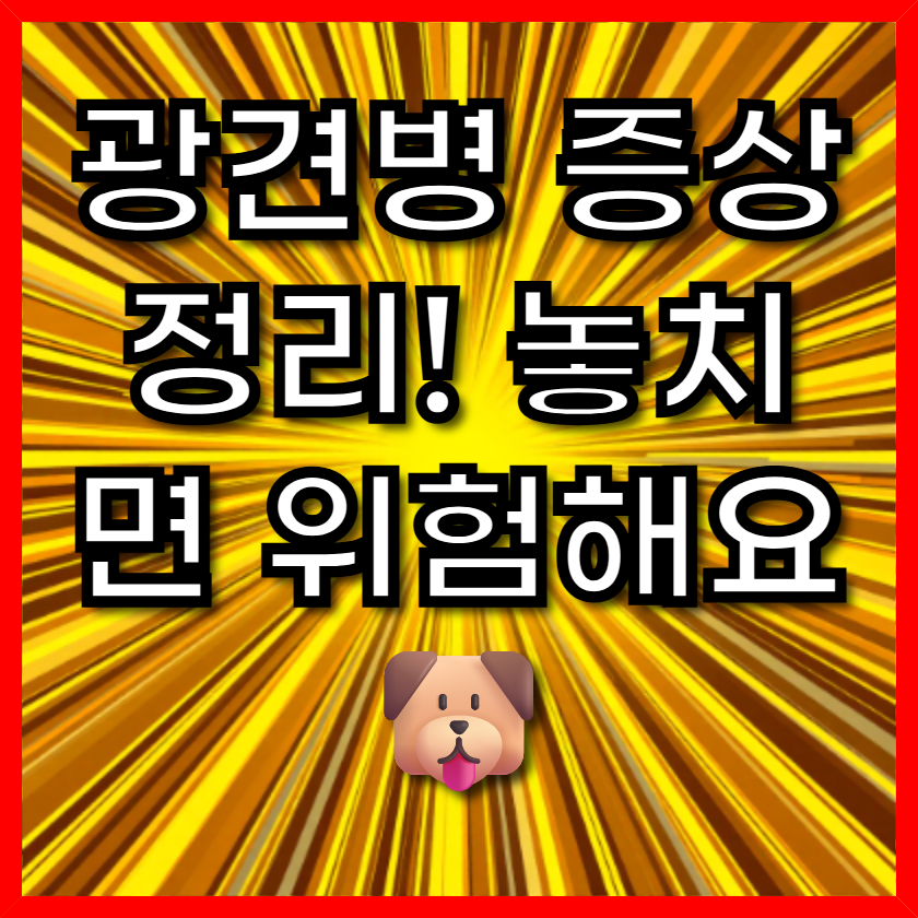 광견병 증상 정리! 놓치면 위험해요 🐶