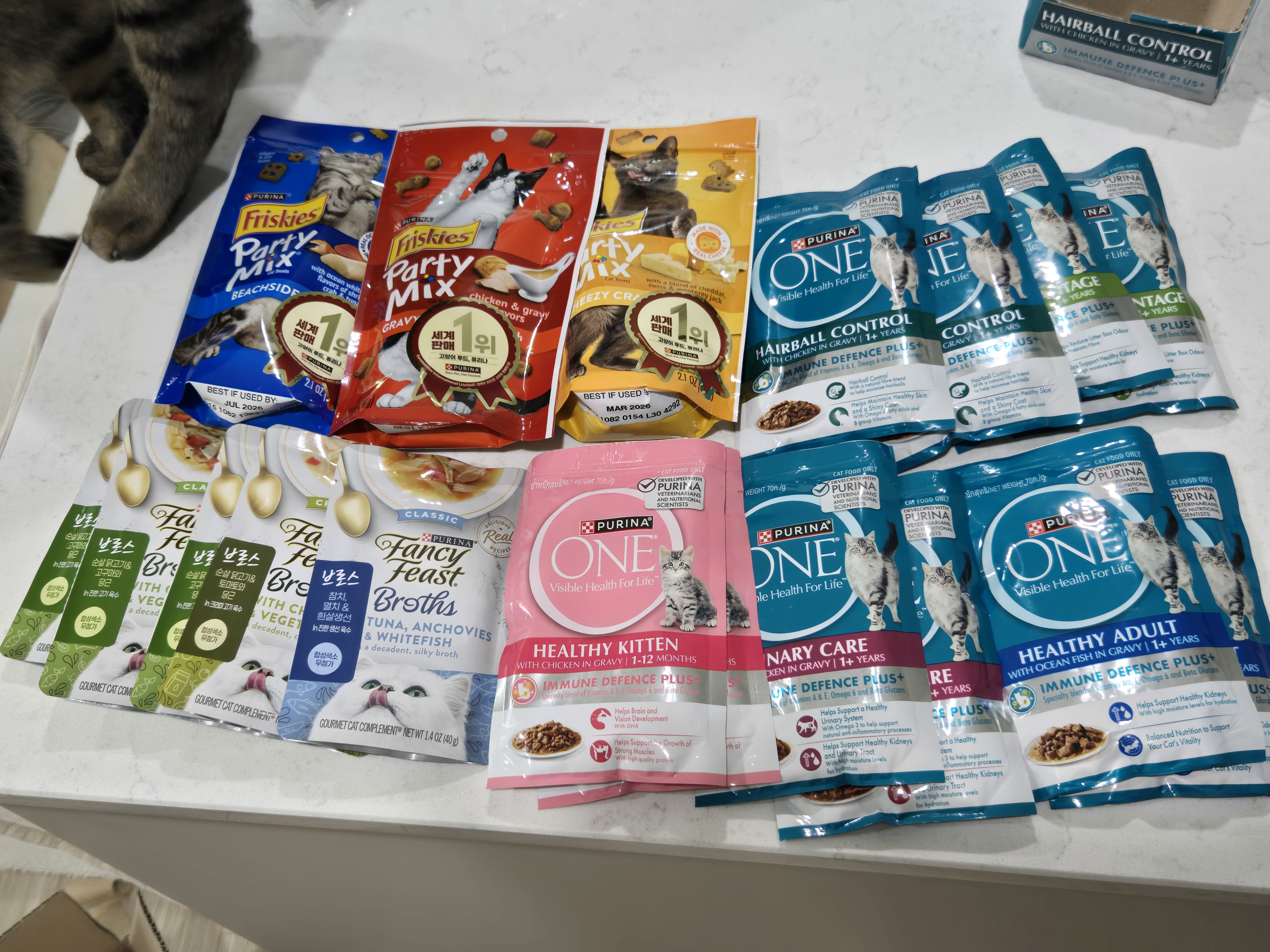 고양이 사료 무료 샘플