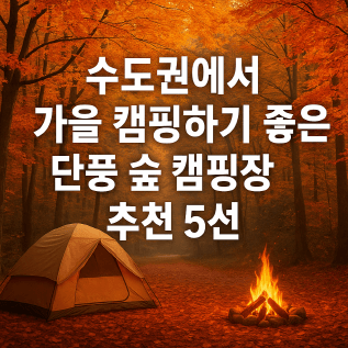 수도권에서 가을 캠핑하기 좋은 단풍 숲 캠핑장 추천 5선
