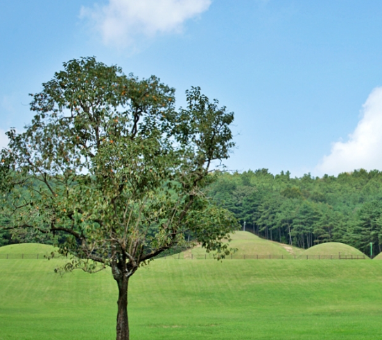 부여 가볼만한곳 베스트10