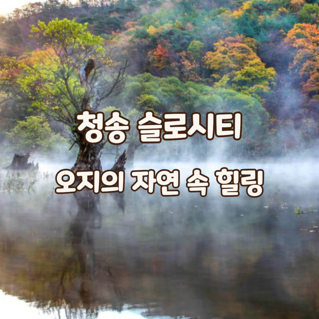청송-슬로시티