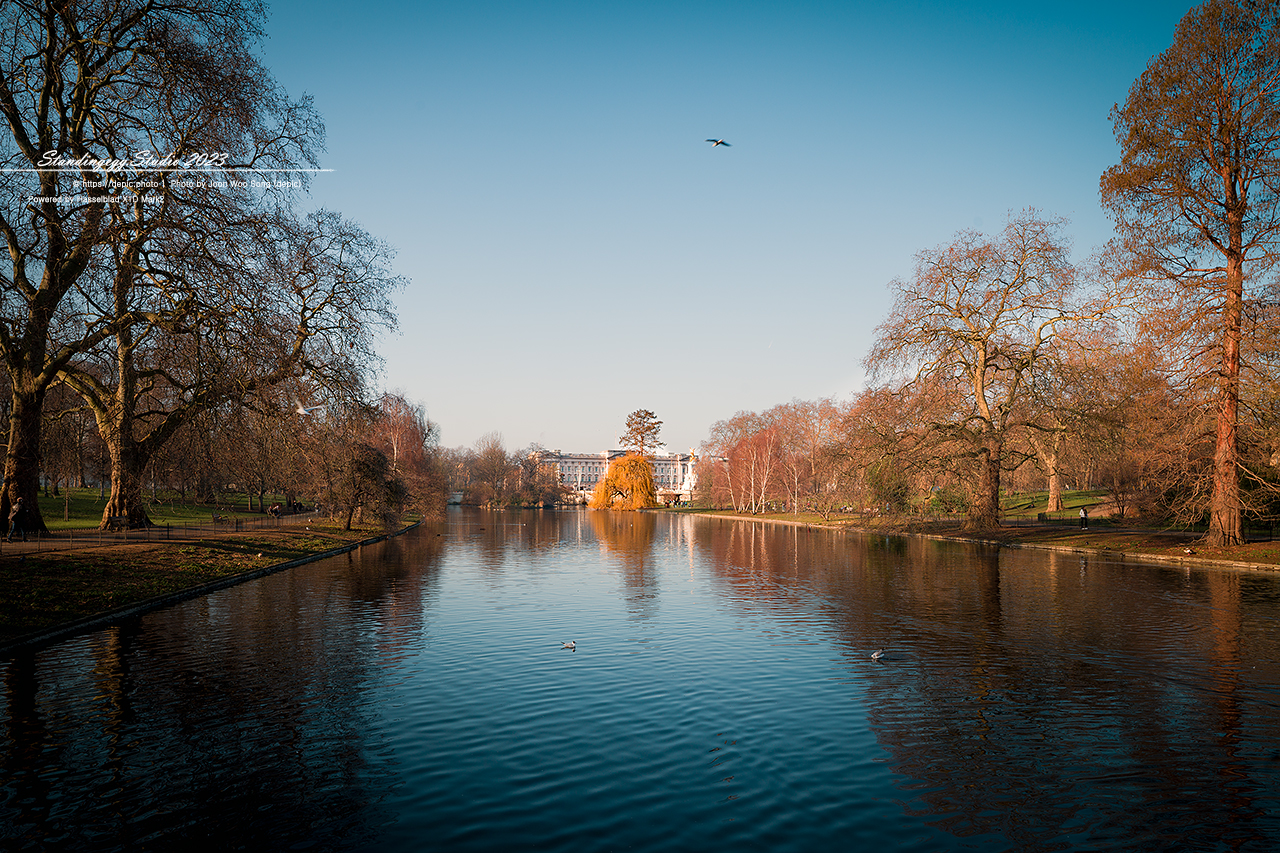 #런던 #영국 #유럽 #버킹엄궁전 #공원 #서유럽여행