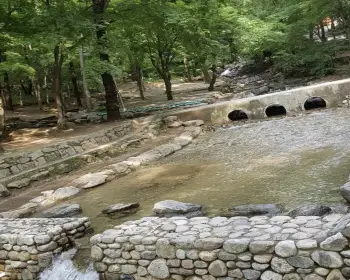 서울대공원 캠핑장 예약_21