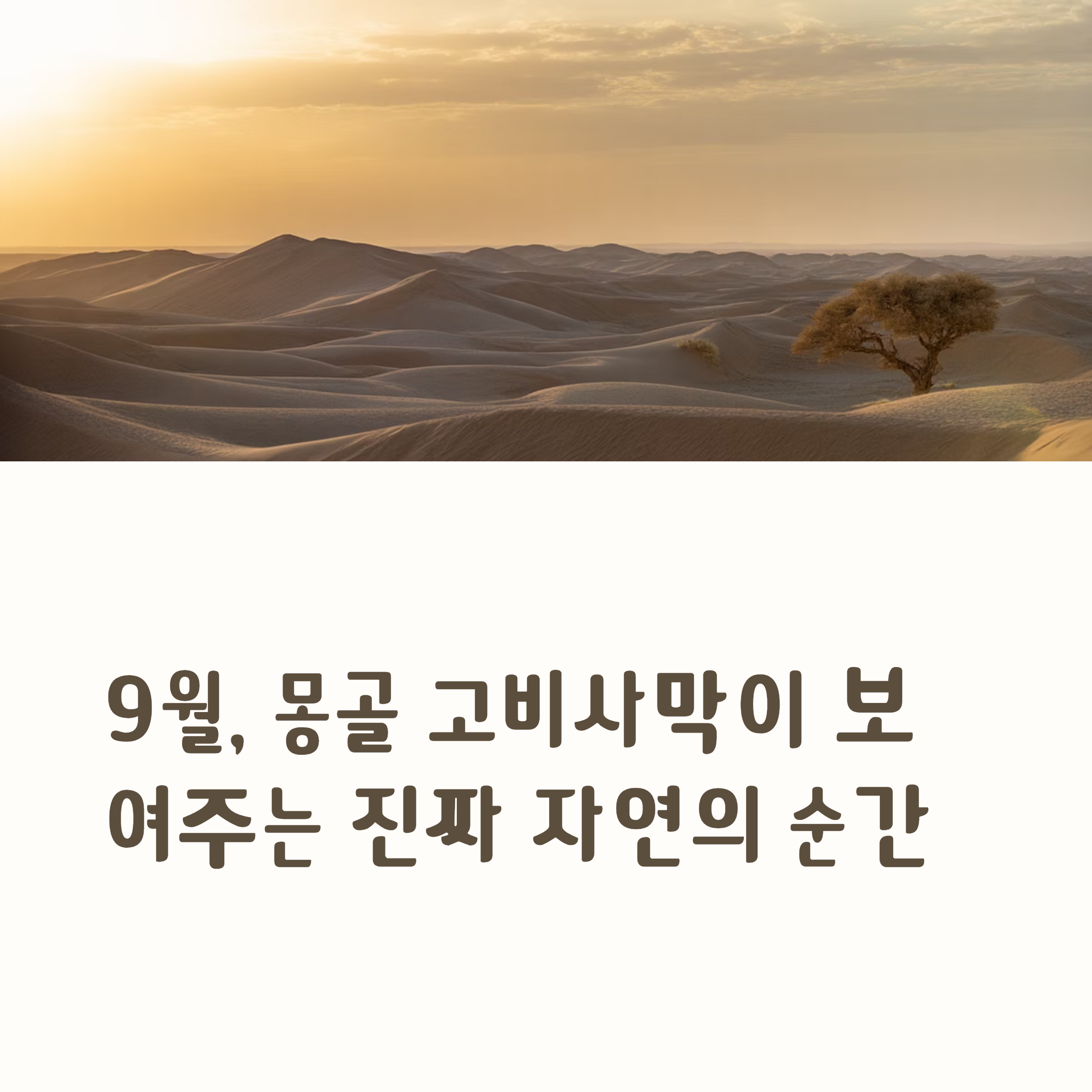 9월, 몽골 고비사막이 보여주는 진짜 자연의 순간