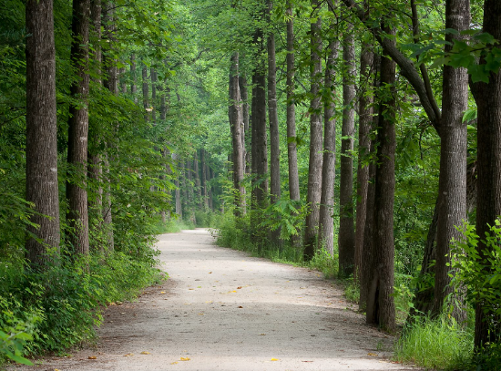 5월제주도 가볼만한곳