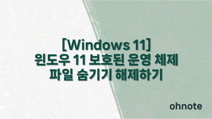 보호된 운영 체제 파일 숨기기 해제