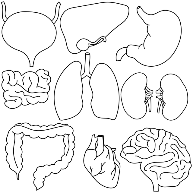 방광염