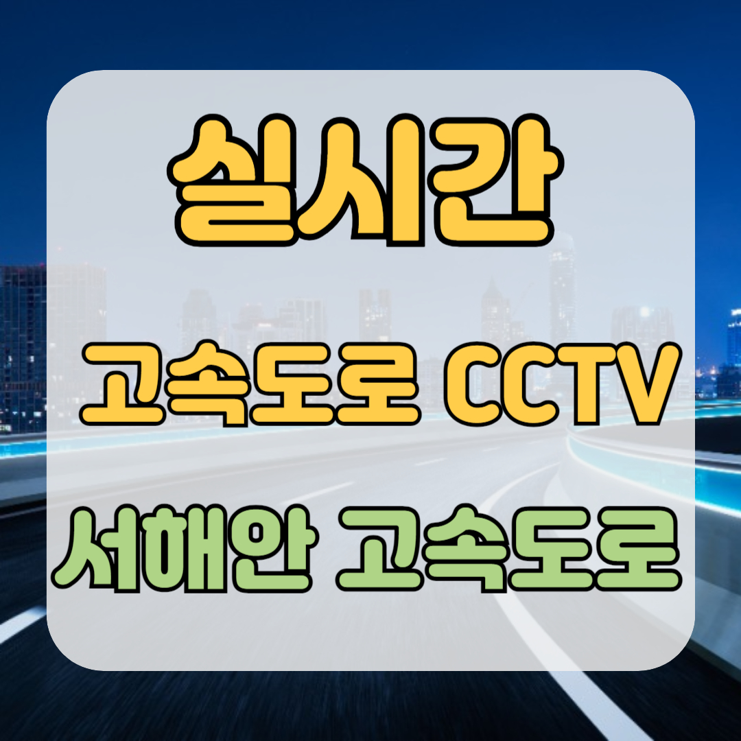 실시간 고속도로 cctv 교통 상황 시간 단축 필수