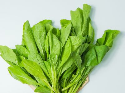 비염에 좋은음식