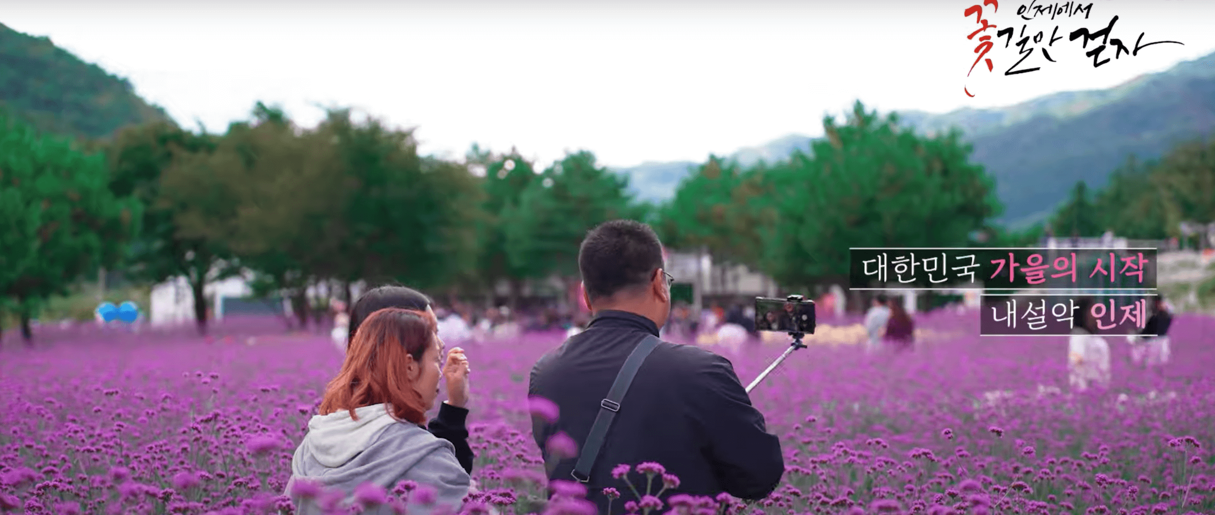 인제가을꽃축제 가는길, 이벤트 총정리