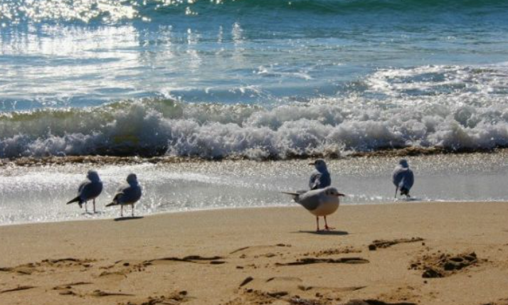 1월 경상도 가볼만한곳 여행지 ❘ 국내 겨울 나들이 명소 추천❘ 데이트 가족 실내 당일치기