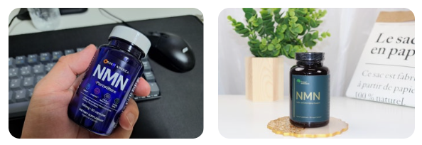nmn-영양제