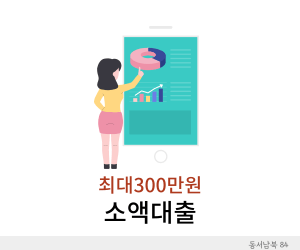 소액대출
