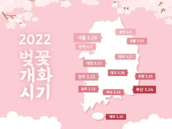 벚꽃 만개시기 2025 숨겨진 명소 베스트3_9