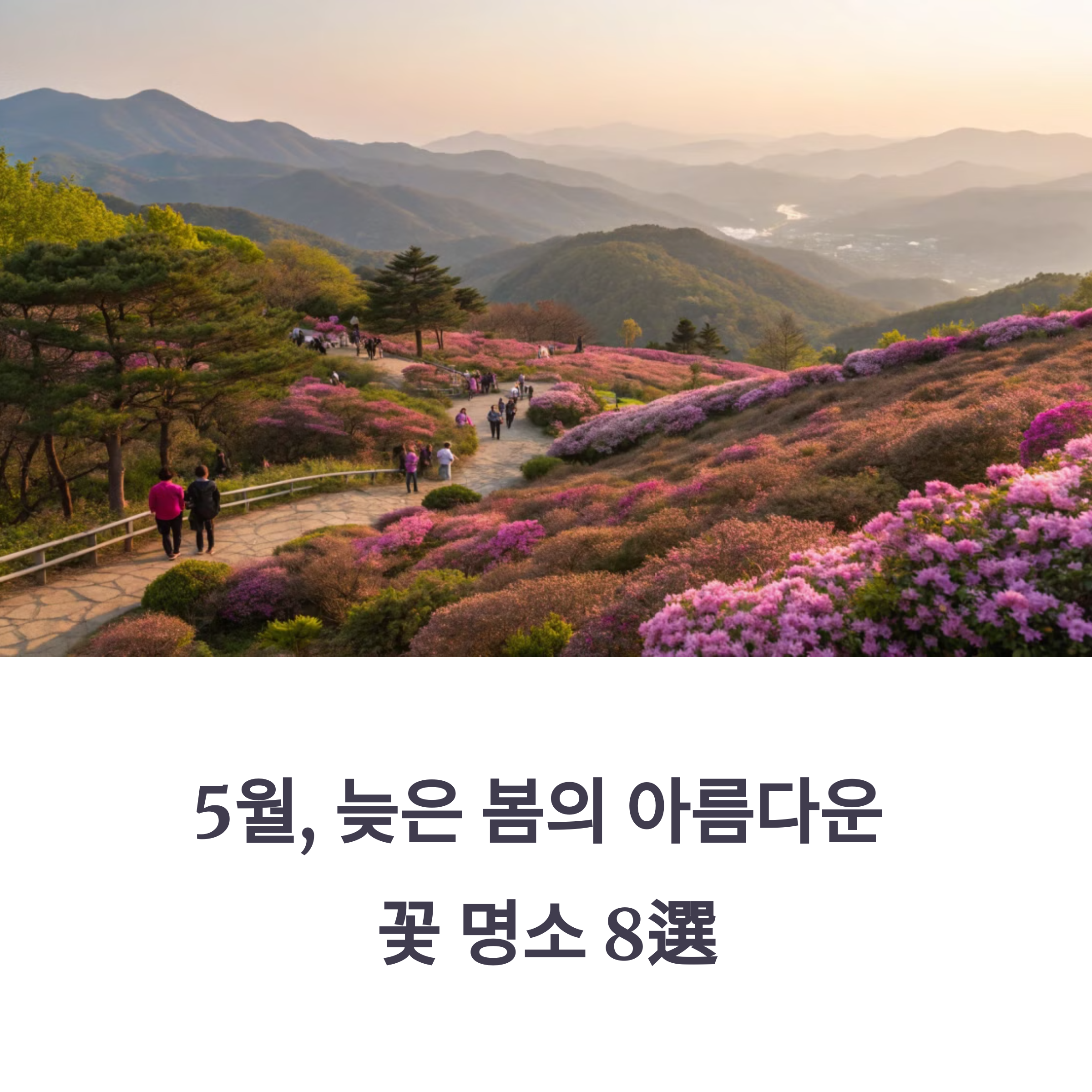늦게 피는 봄꽃 어디서 볼까? 5월 추천 장소
