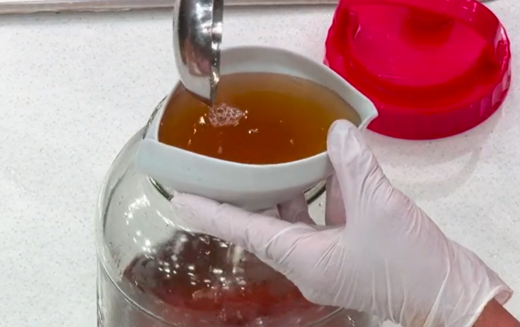 매실청 담그는 법