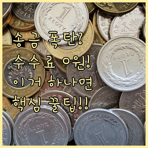 해외 송금 시 중개 수수료와 전신료 ..