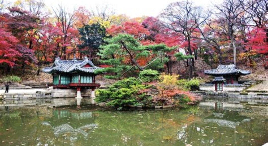 창덕궁 달빛기행