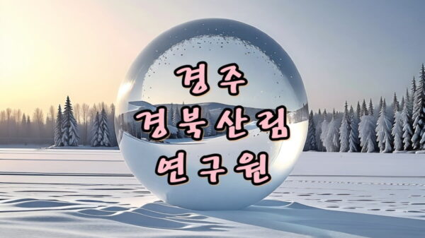 [경주 가을] 경북산림연구원(천년숲정원) 외나무다리 포토 스팟 위치 및 주차