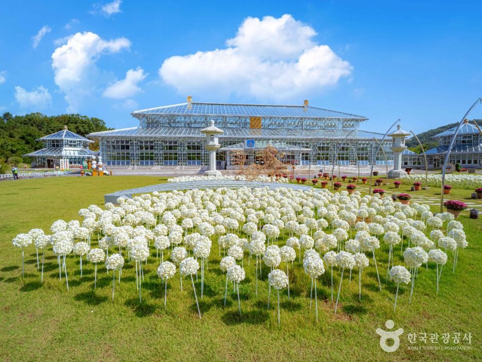 경주 APEC