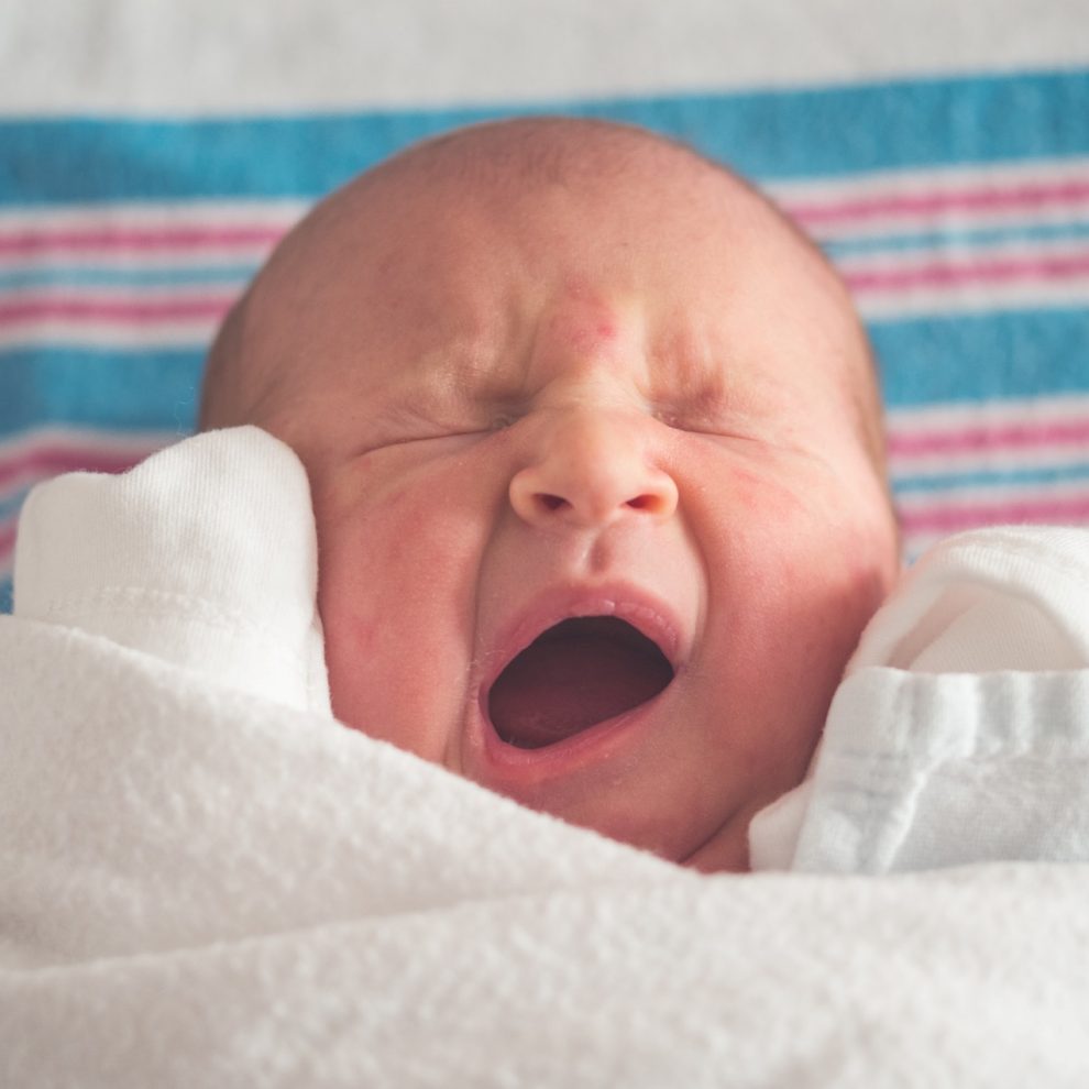 출생신고서 열람