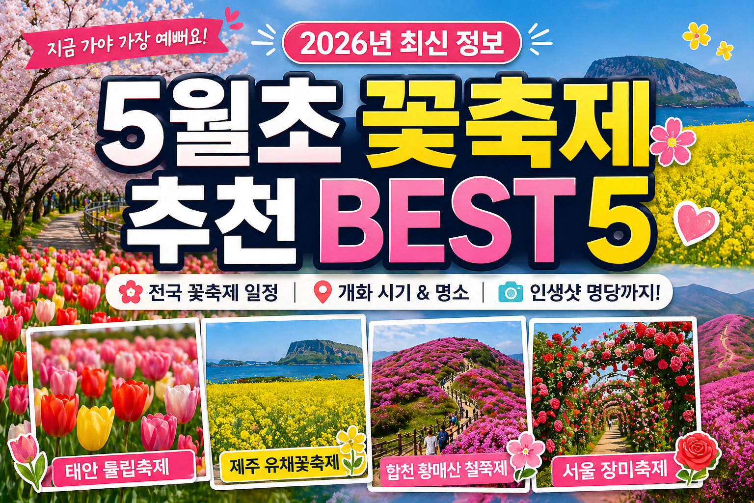 5월초 꽃축제 추천 BEST 5｜지금 가야 절정! 전국 봄꽃 여행지 총정리 (2026년)