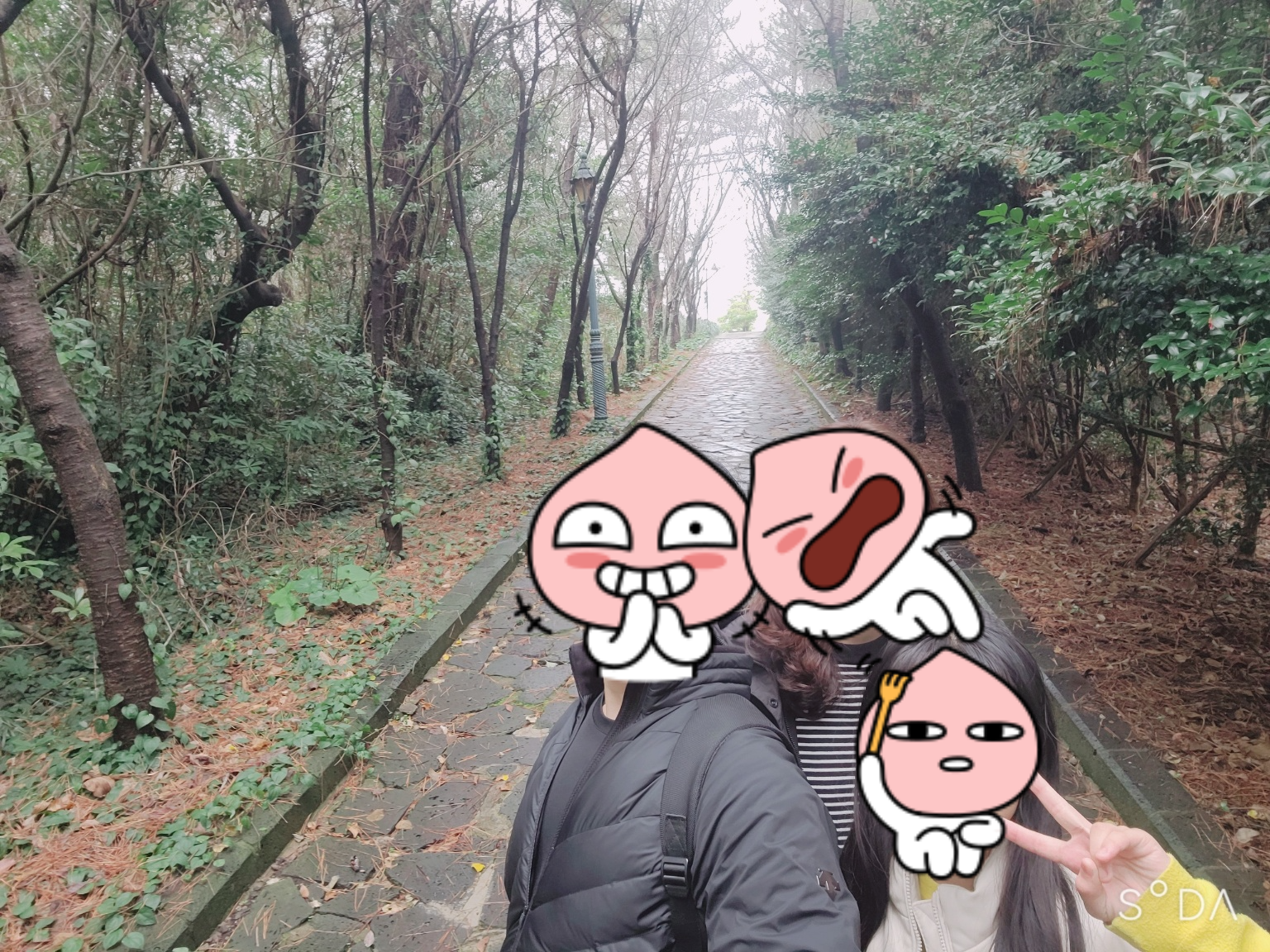 제주 여행 파르나스 호텔 제주