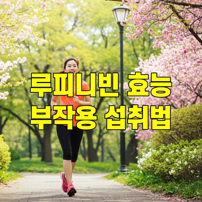 루피니빈 효능, 부작용, 올바른 섭취 방법