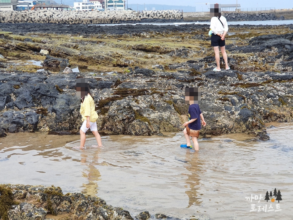 사계 해변 물놀이