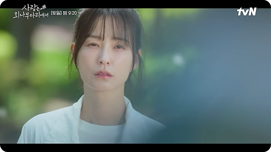 사랑은 외나무다리에서