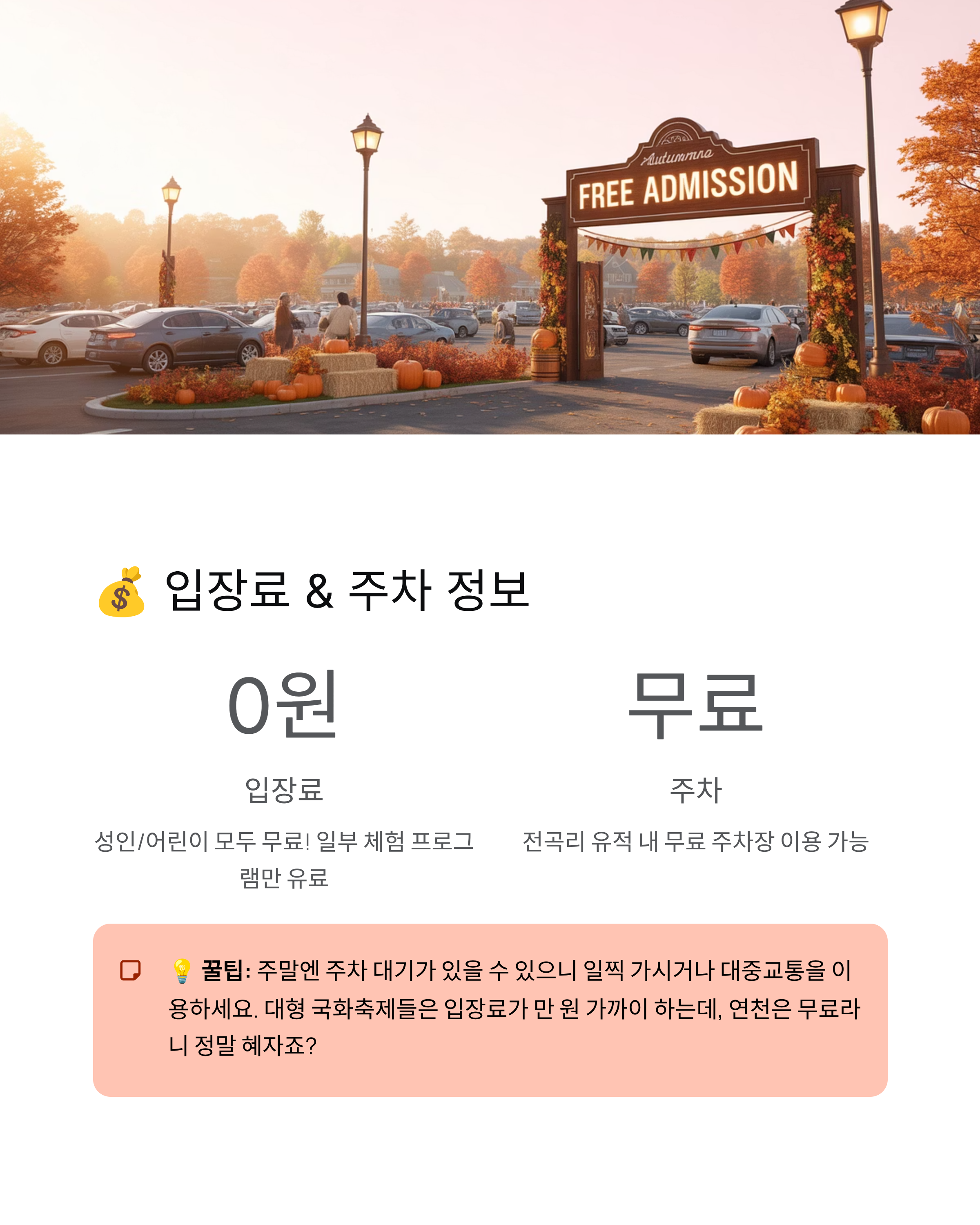 연천 국화축제 2025 완벽 가이드 - 무료입장에,주차정보, 율무축제까지!