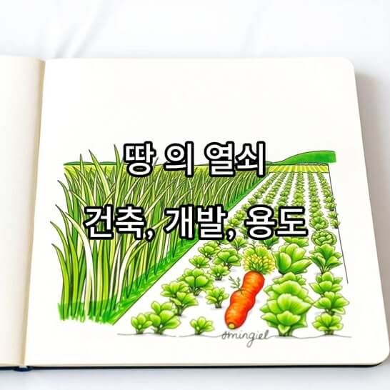 그림-채소-밭