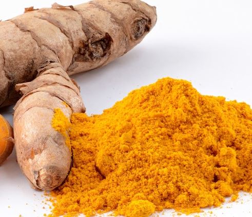 커큐민-효능