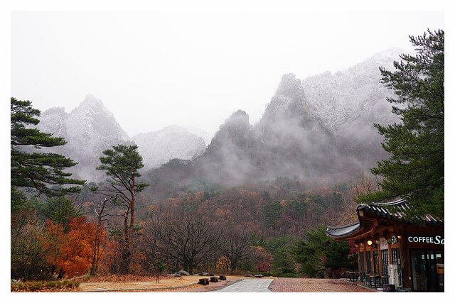 청와대 관람예약 신청하기 - 청와대 관람 시 안내사항