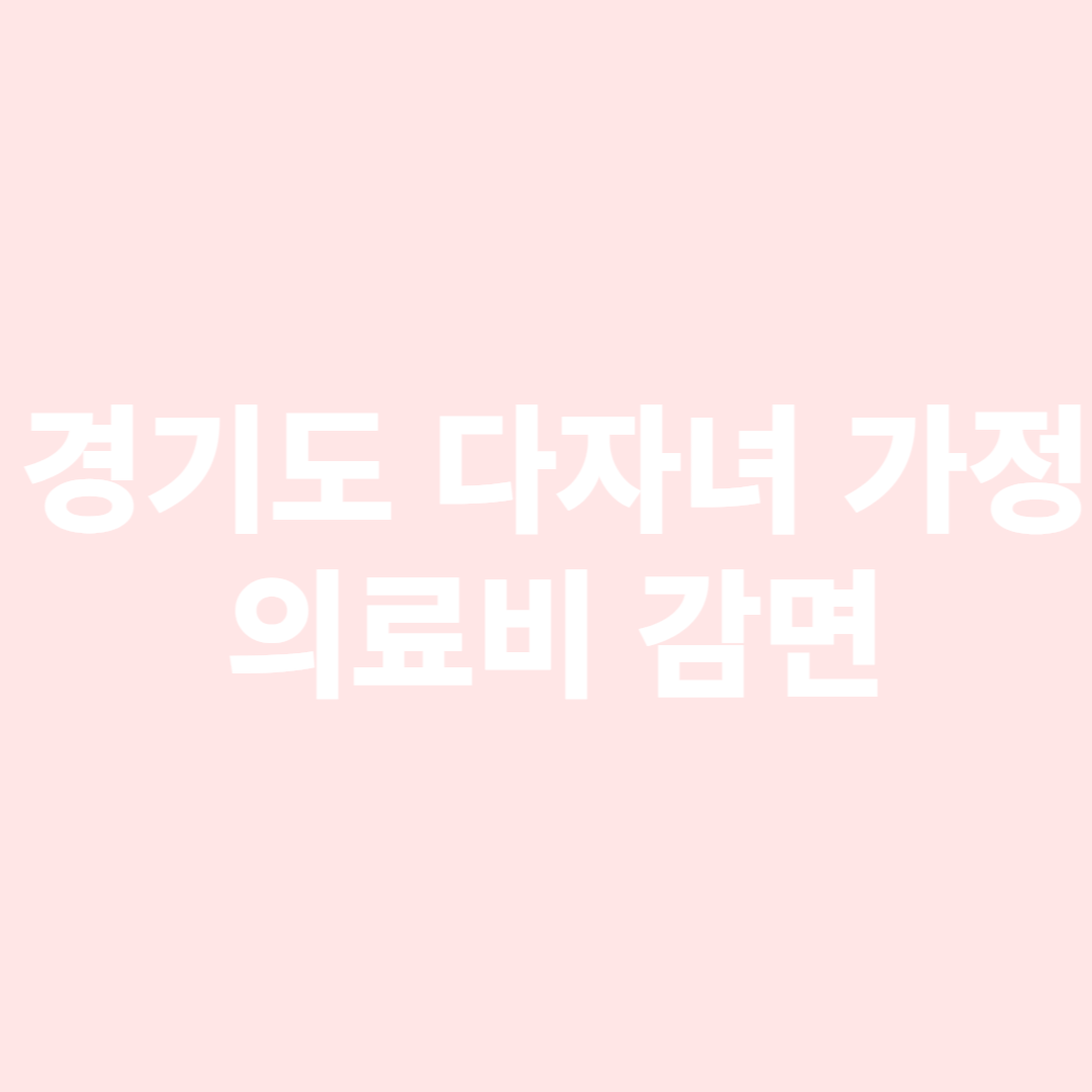 경기도 다자녀 가정 의료비 감면