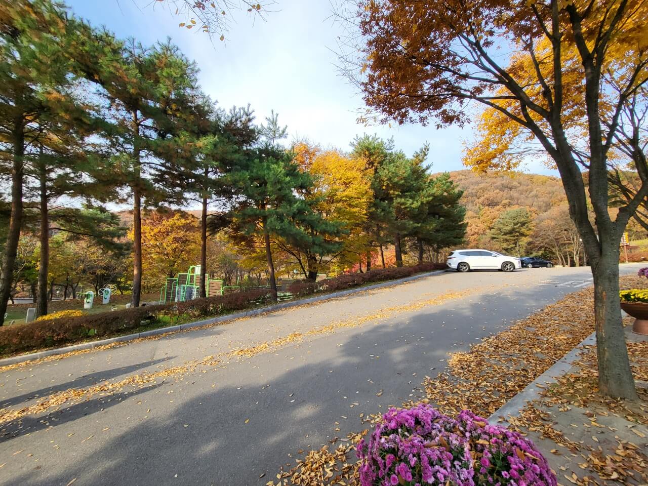 용인자연휴양림 풍경