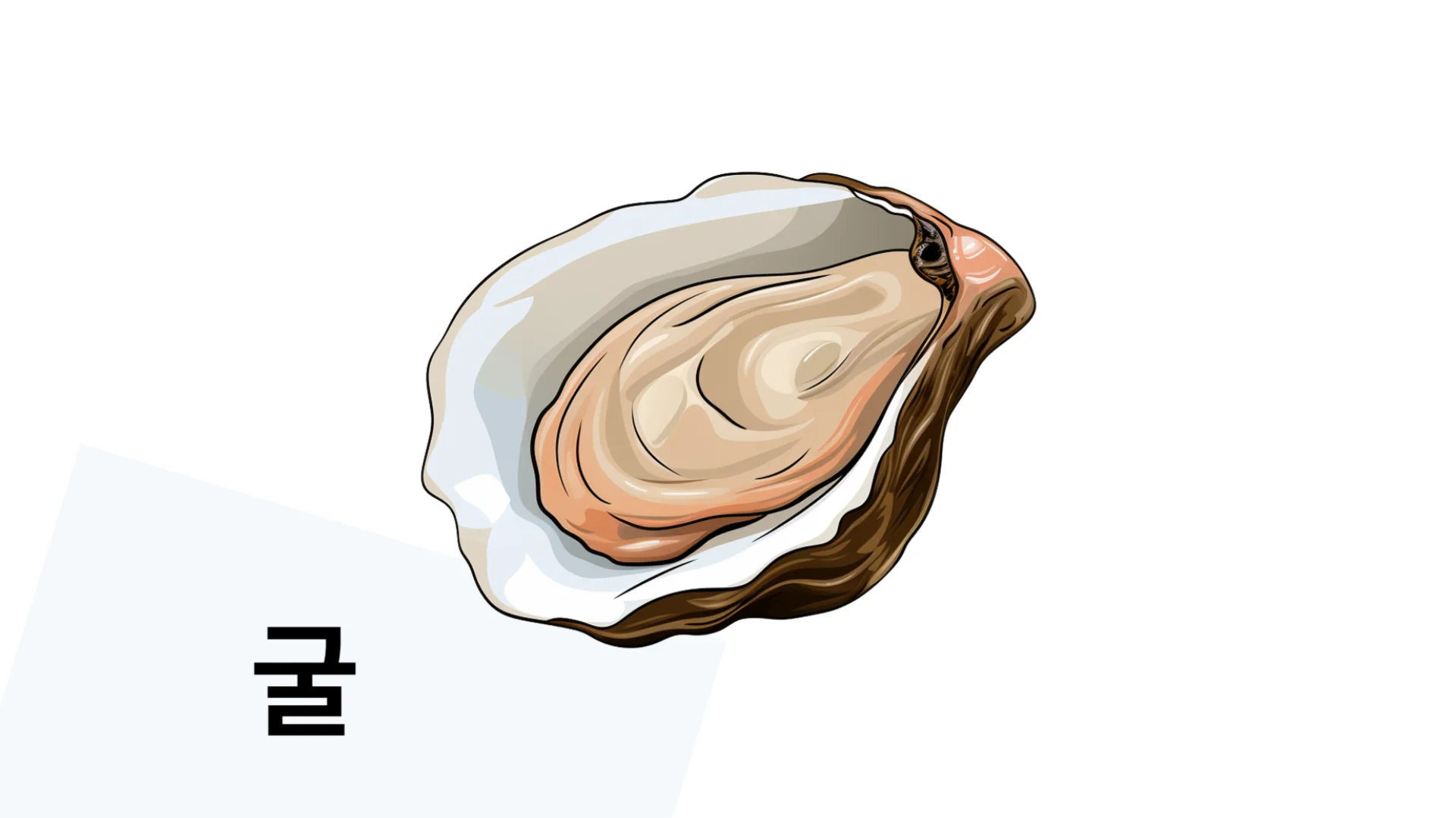 11월-제철-음식-9