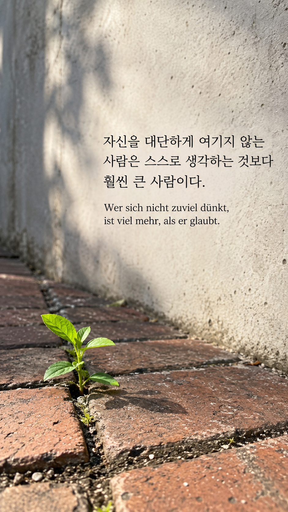 독일어 명언 9 괴테 자신을 대단하게 여기지 않는 사람은 스스로 생각하는 것보다 훨씬 큰 사람이다. — 벽돌 틈에서 자라는 작은 새싹