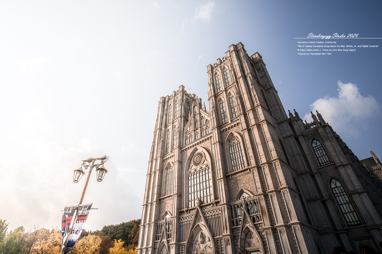 #서울 #경희대 #경희대학교 #단풍 #가을