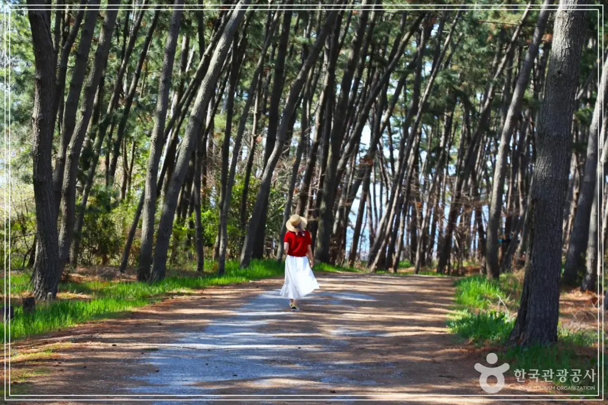 batch_ef64504d-15e6-4305-a28e-a80bf241016c