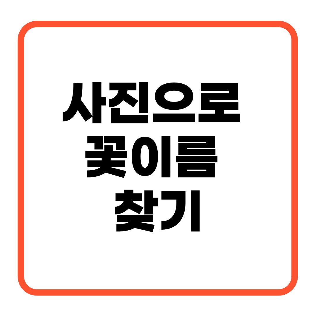 사진으로 꽃이름 찾기