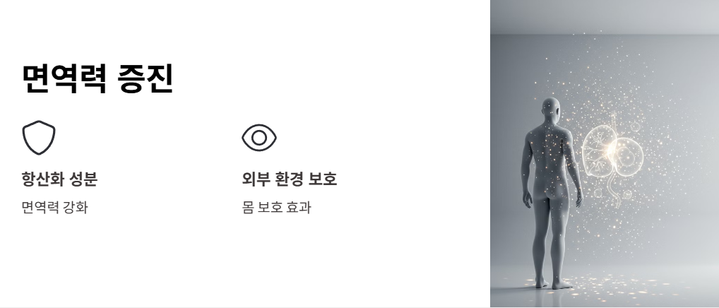 면역력 증진
