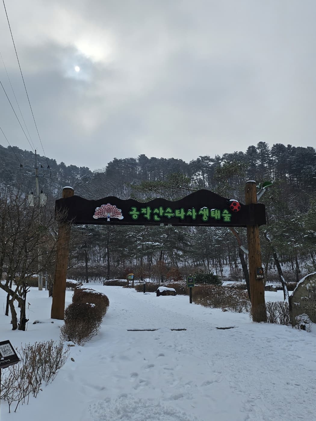 공작산생태숲