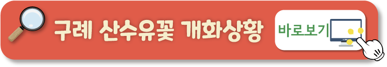 3월 국내 여행지 추천